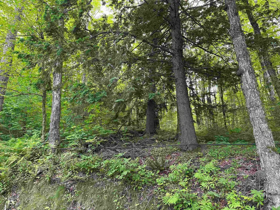 Goulden Ridge Road, Weathersfield, VT 05030 - Image #2