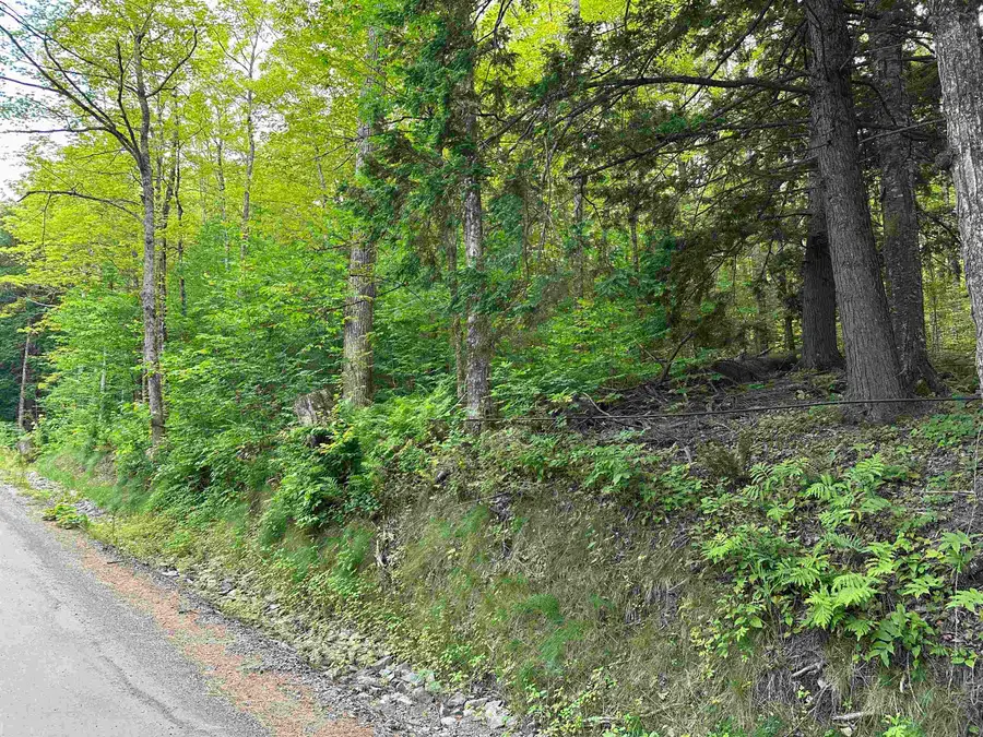 Goulden Ridge Road, Weathersfield, VT 05030 - Image #3