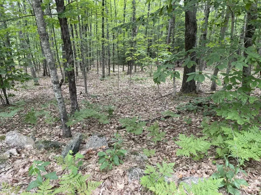 956 N Barnstead Road, Center Barnstead, NH 03225 - Image #2