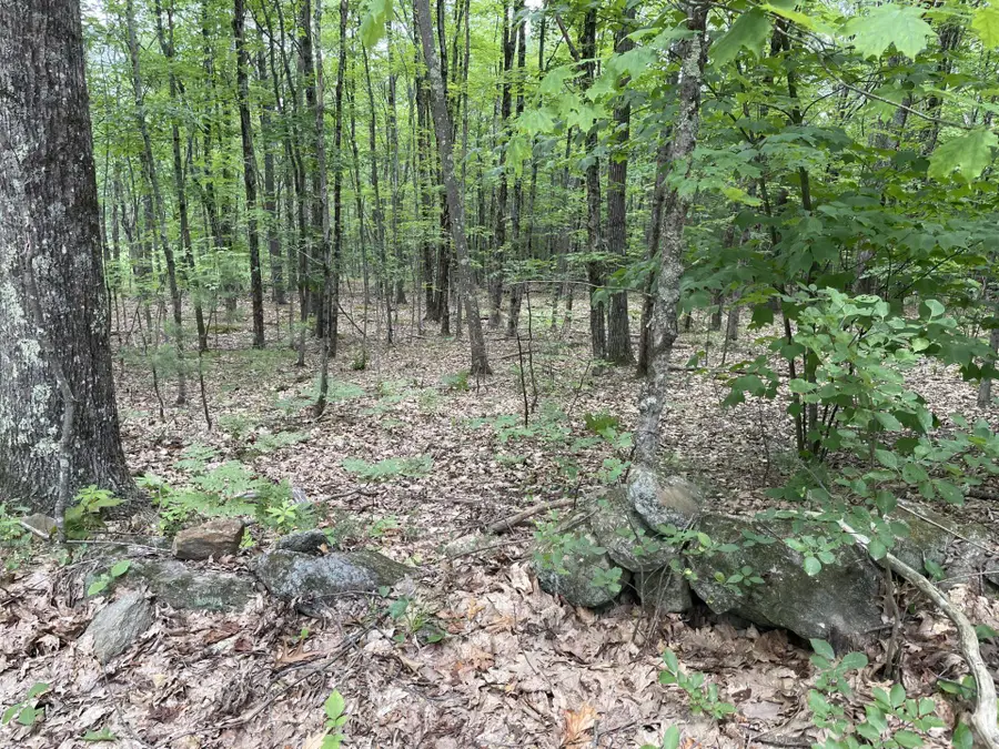 956 N Barnstead Road, Center Barnstead, NH 03225 - Image #3