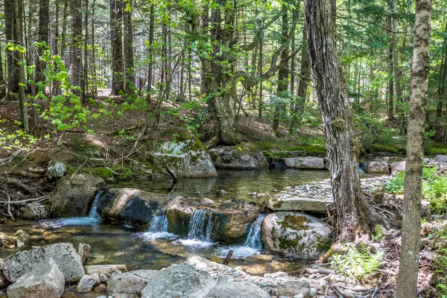 516 Dundee Road, Jackson, NH 03846 - Image #3