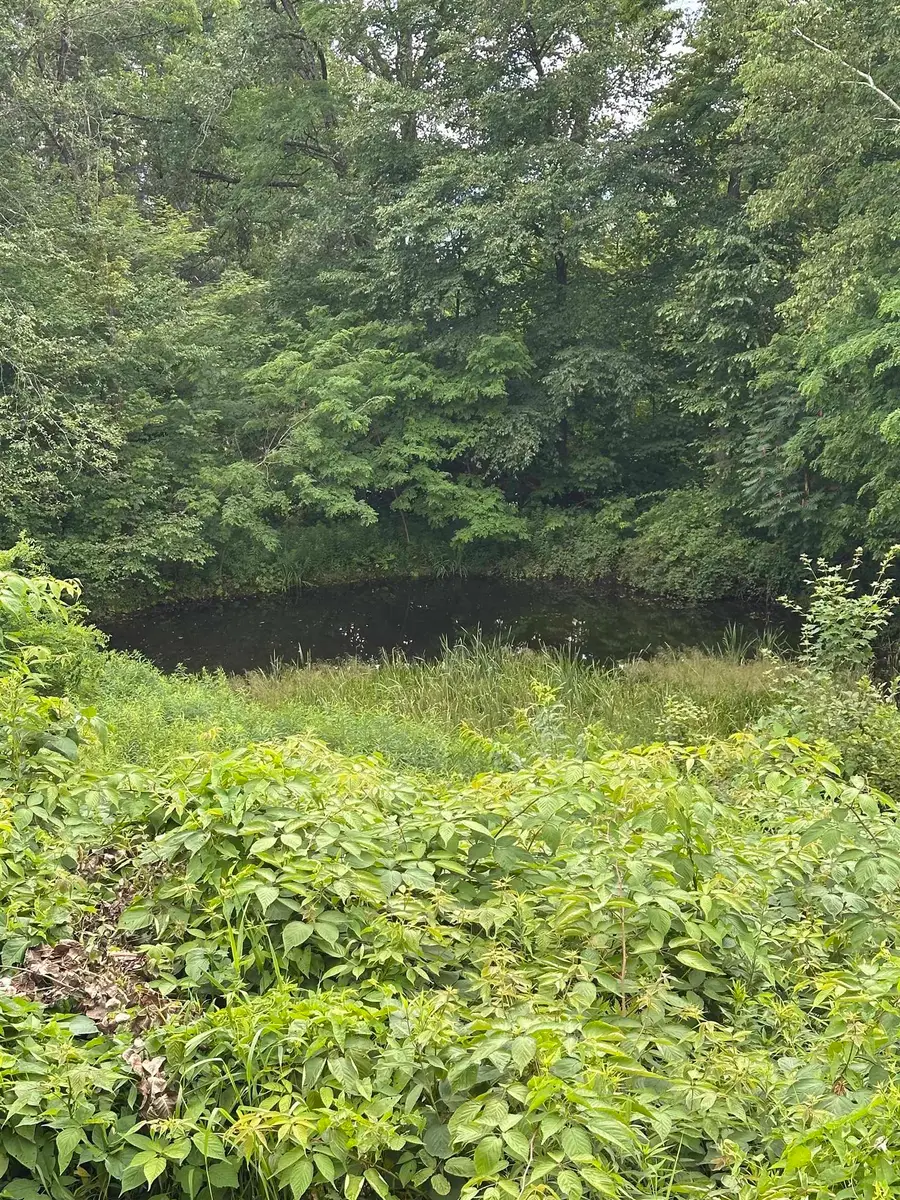 2114 Lilly Hill Road, Danby, VT 05739 - Image #3