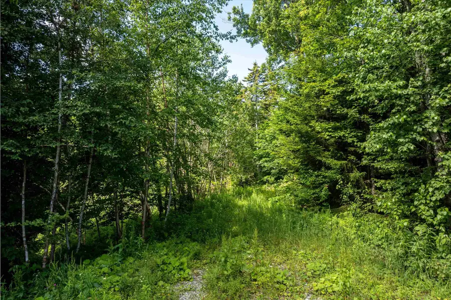 00 Turtle Hill Road, Ludlow, VT 05149 - Image #2