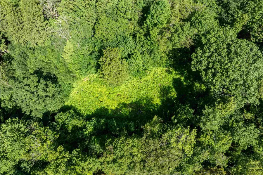 00 Turtle Hill Road, Ludlow, VT 05149 - Image #3