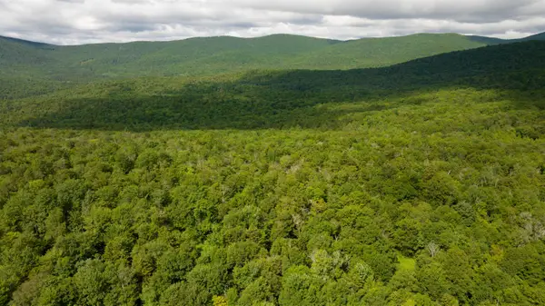 00 Albin Hill, Bethel, VT 05060