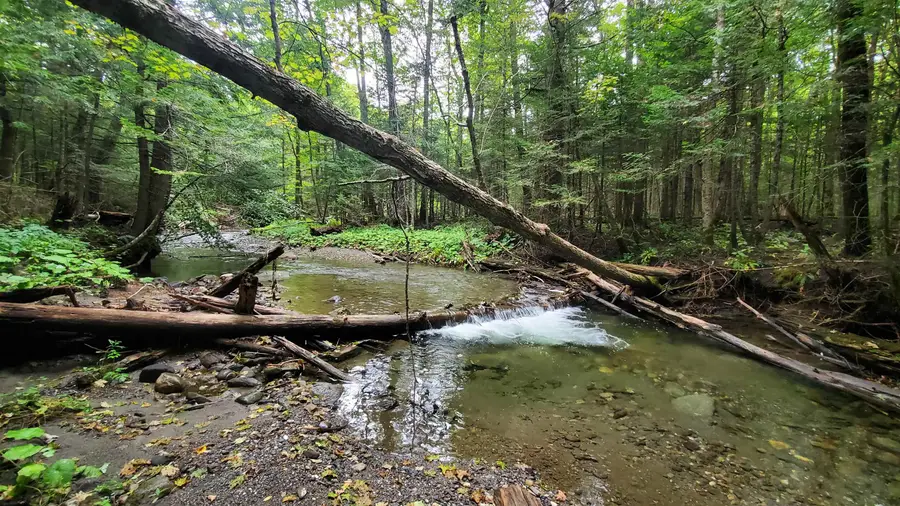 00 Brook Road, Chelsea, VT 05038 - Image #3