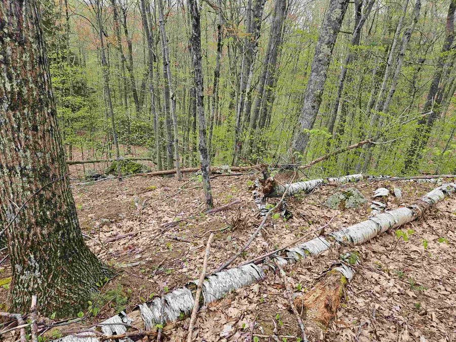 Lot 123 Paulsen Circle, Haverhill, NH 03765 - Image #3