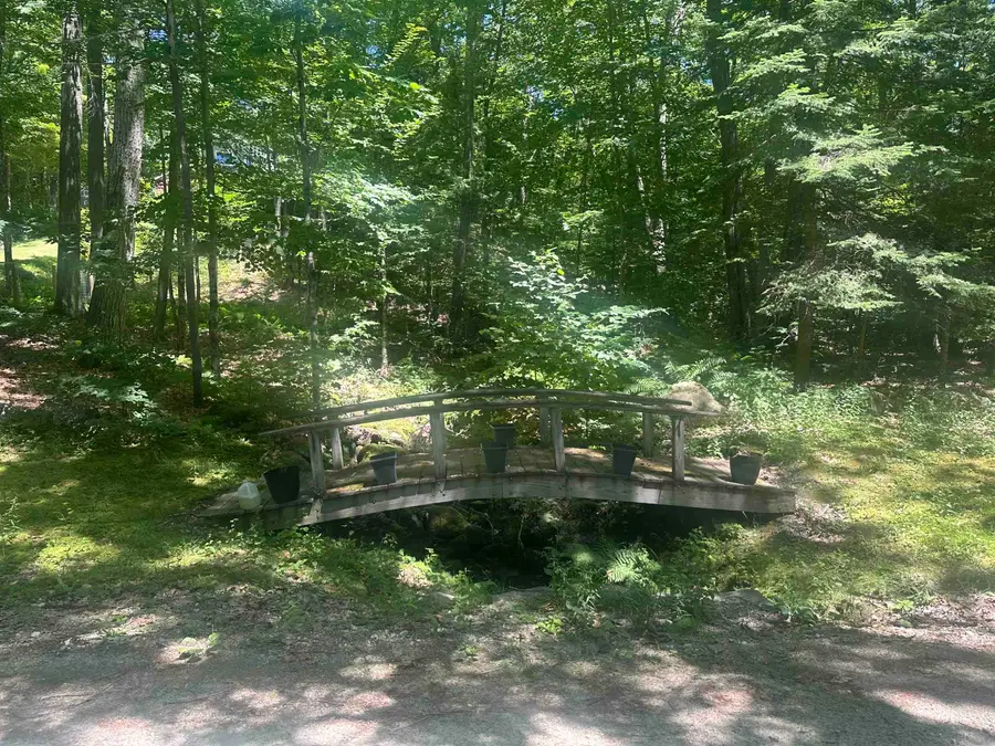 Lot 22 Rand Pond Road, Goshen, NH 03752 - Image #3