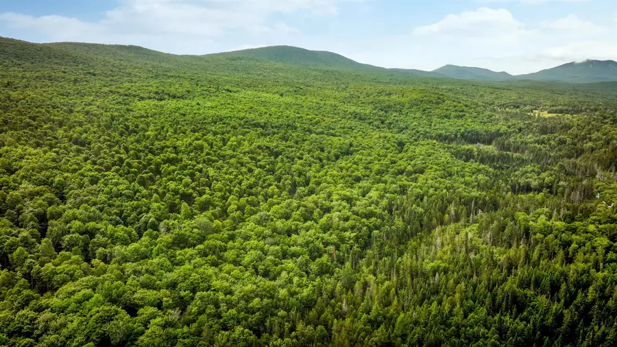 2448 Lost Nation Road, East Haven, VT 05837 - Image #2