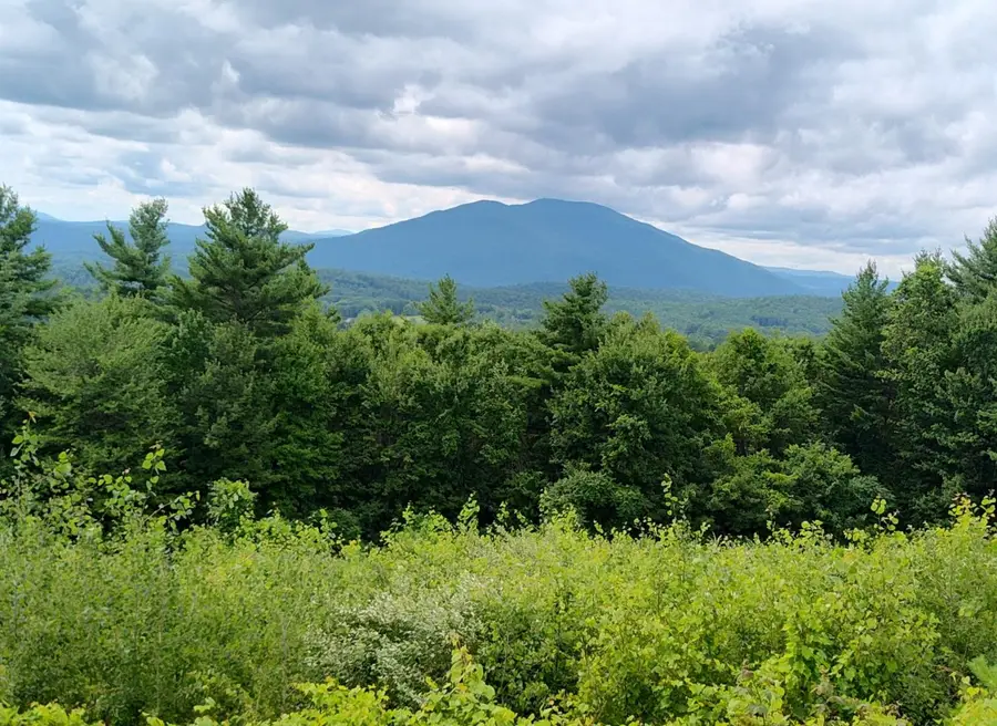 0 Cat Hole Road, Claremont, NH 03743 - Image #2