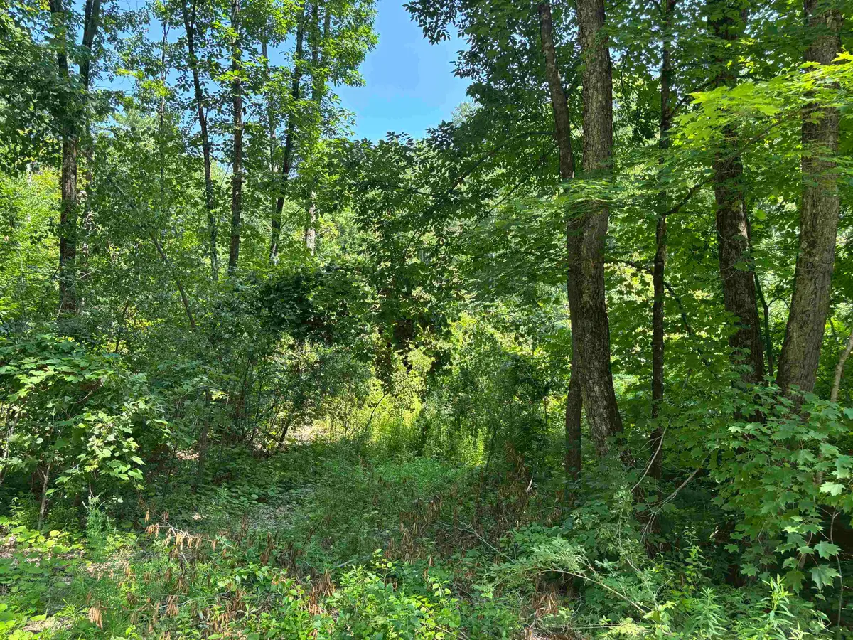 Upper Plains Road, Salisbury, VT 05769 - Image #1