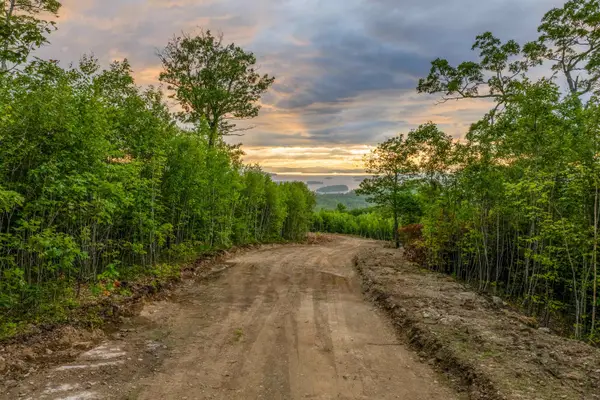0 Long Stack Lane #52, Alton, NH 03809