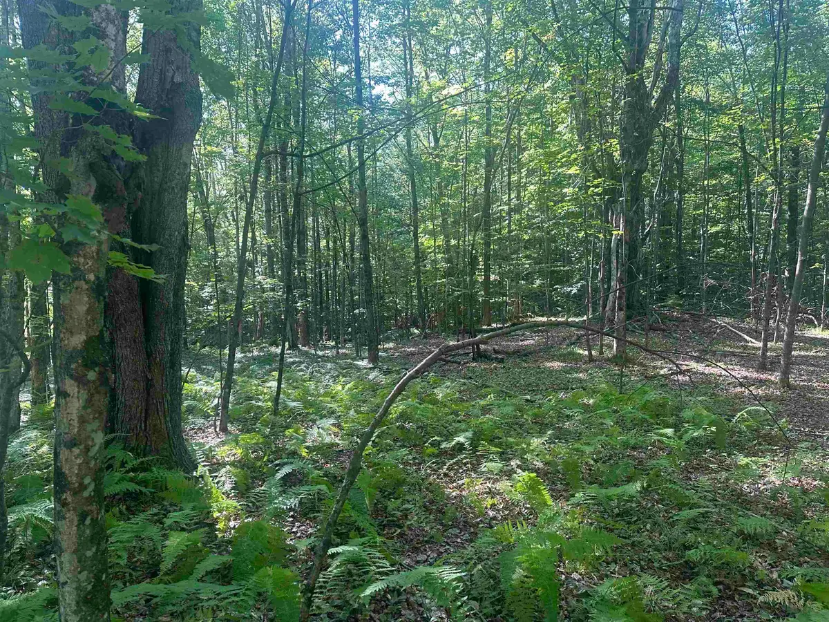 0 Helvi Hill, Mendon, VT 05701 - Image #1