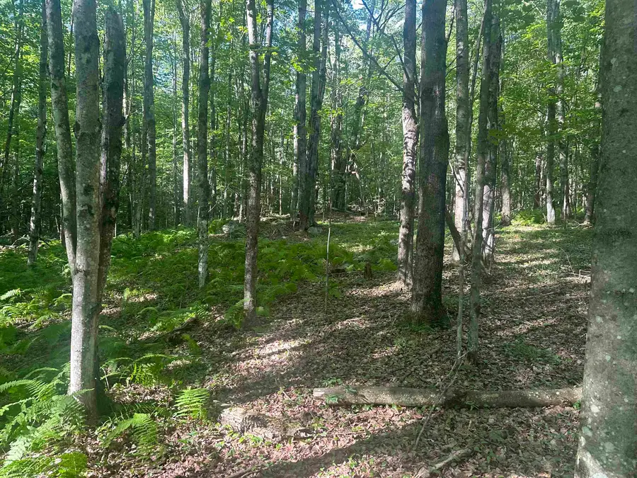 0 Helvi Hill, Mendon, VT 05701 - Image #2