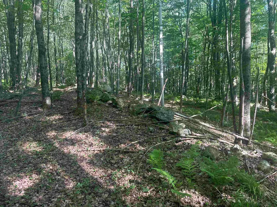 0 Helvi Hill, Mendon, VT 05701 - Image #3