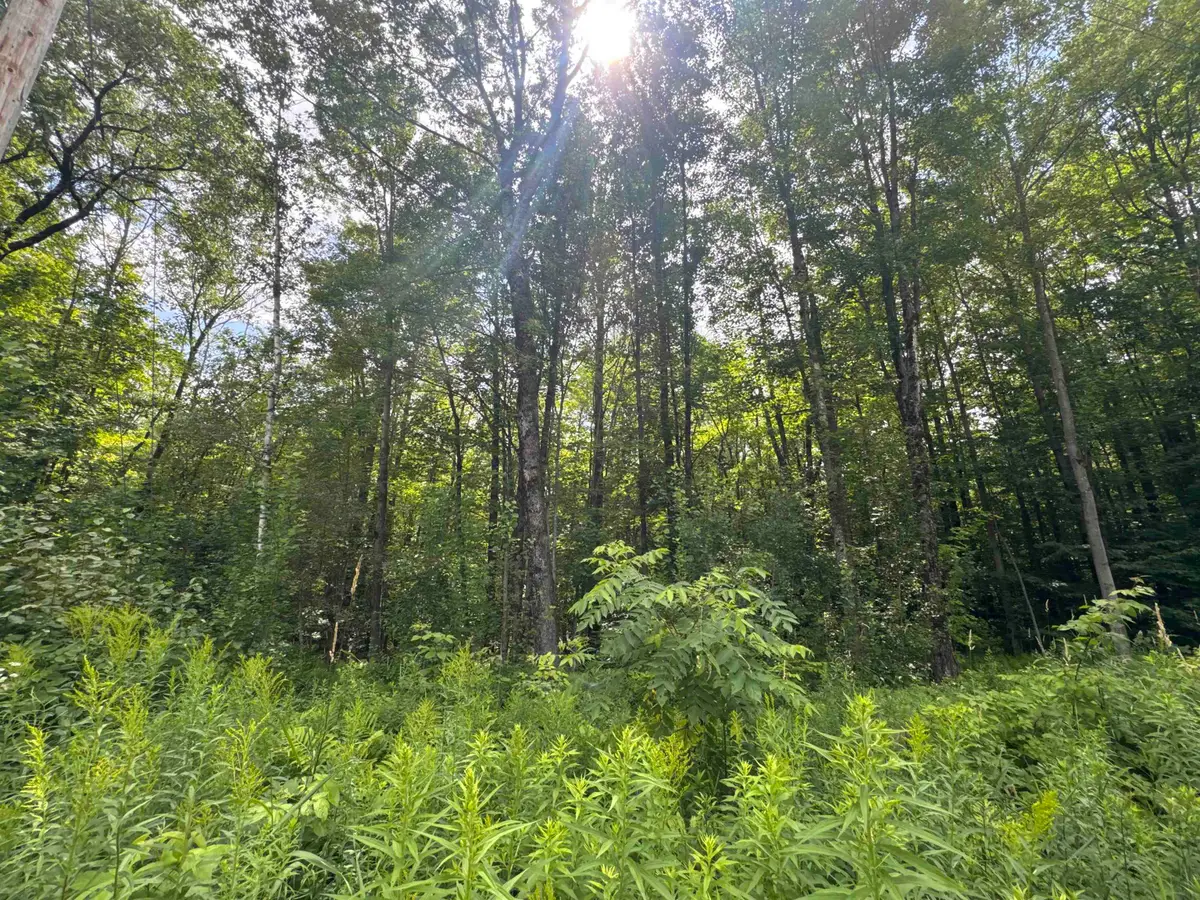 95 Barrywilde Road, Fairfield, VT 05455 - Image #1