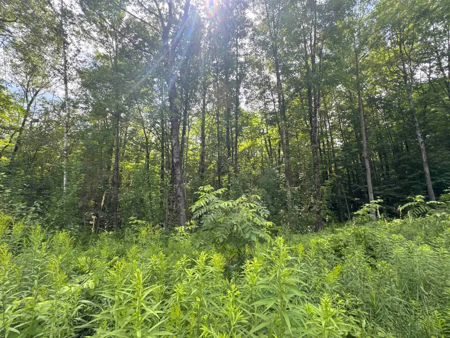 95 Barrywilde Road, Fairfield, VT 05455 - Image #2