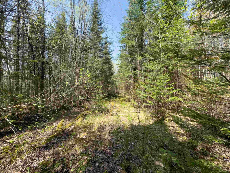 538 Oregon Road, Concord, VT 05824 - Image #2