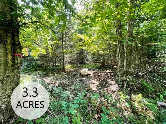 00 Peene Hill Road, Westmore, VT 05822 - Image #1