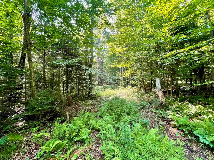 00 Peene Hill Road, Westmore, VT 05822 - Image #2