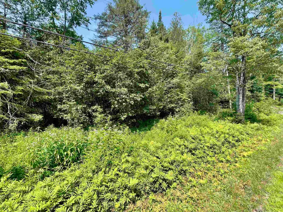 00 Peene Hill Road, Westmore, VT 05822 - Image #3