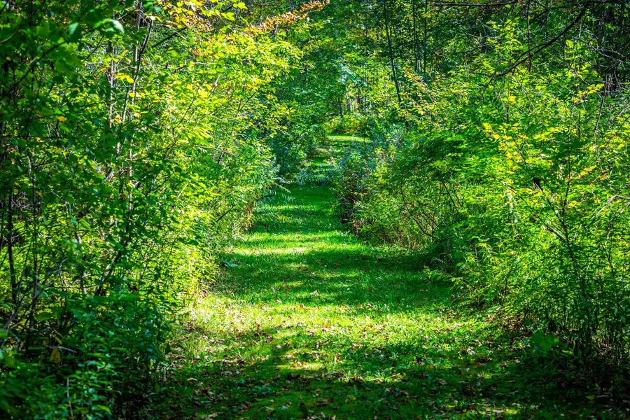 5518 VT. Route 12, Barnard, VT 05031 - Image #2