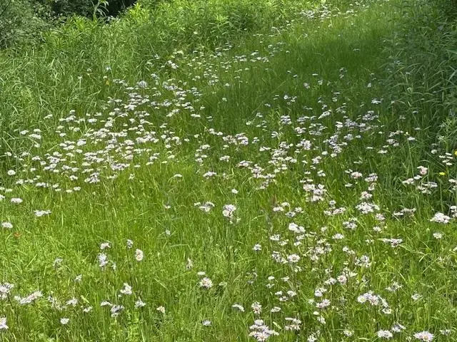 5518 VT. Route 12, Barnard, VT 05031 - Image #3