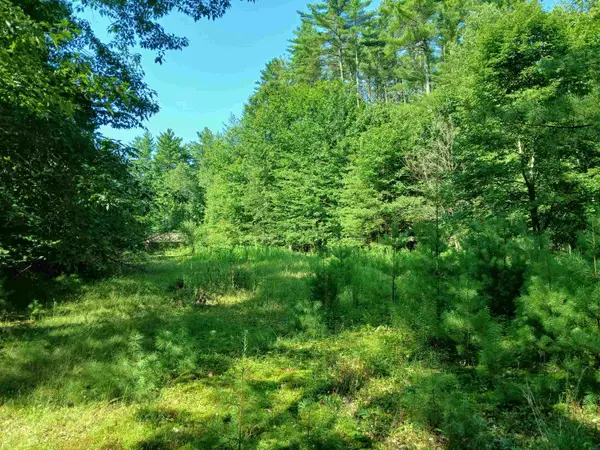 106 Middle Road, Tuftonboro, NH 03816