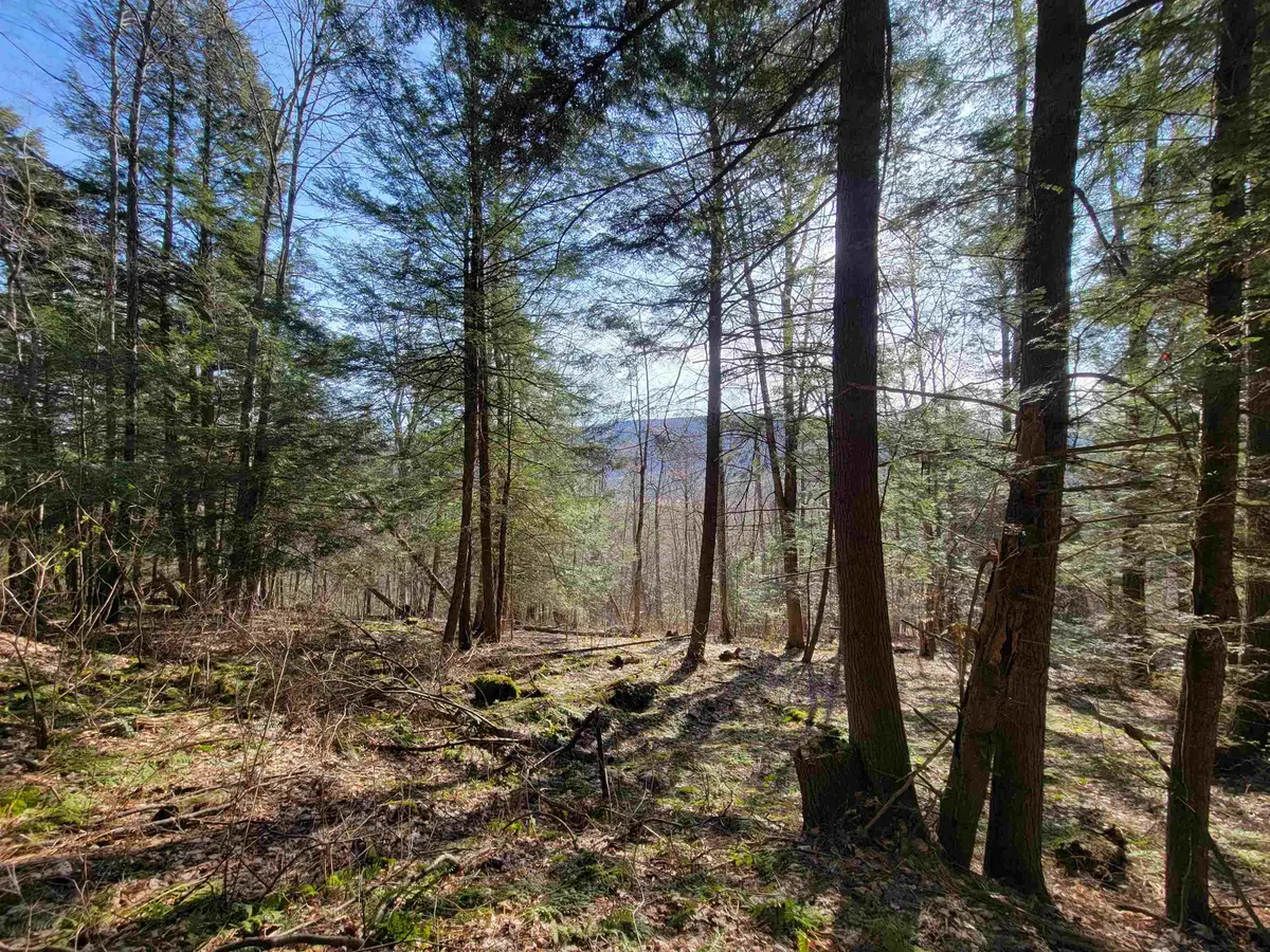 1890-B Bristol Road, Monkton, VT 05469 - Image #1