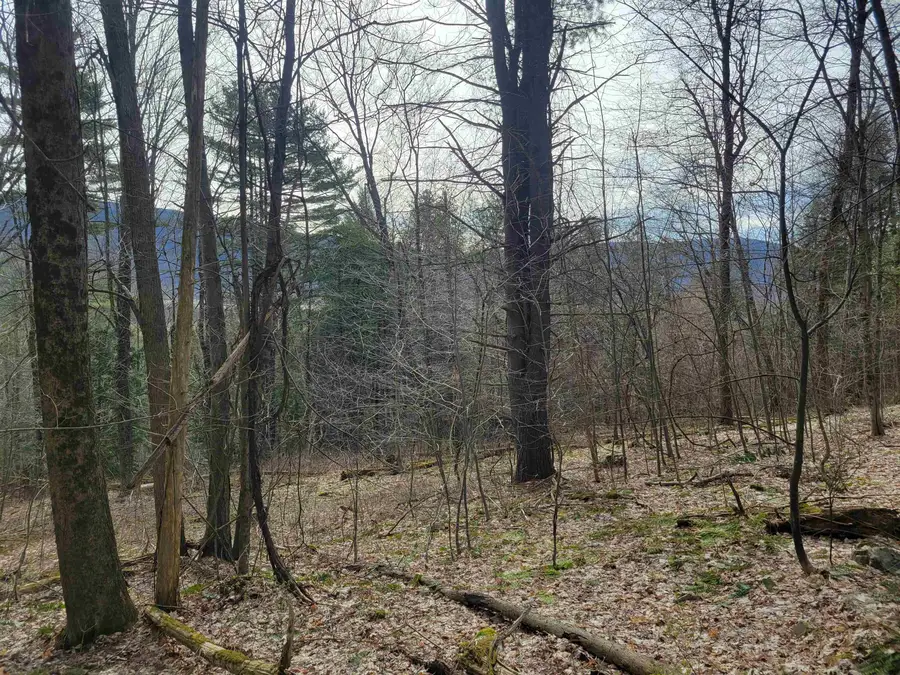 1890-B Bristol Road, Monkton, VT 05469 - Image #2