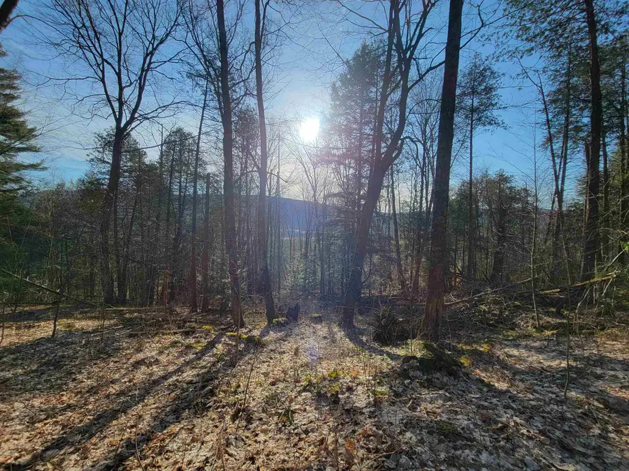 1890-B Bristol Road, Monkton, VT 05469 - Image #3