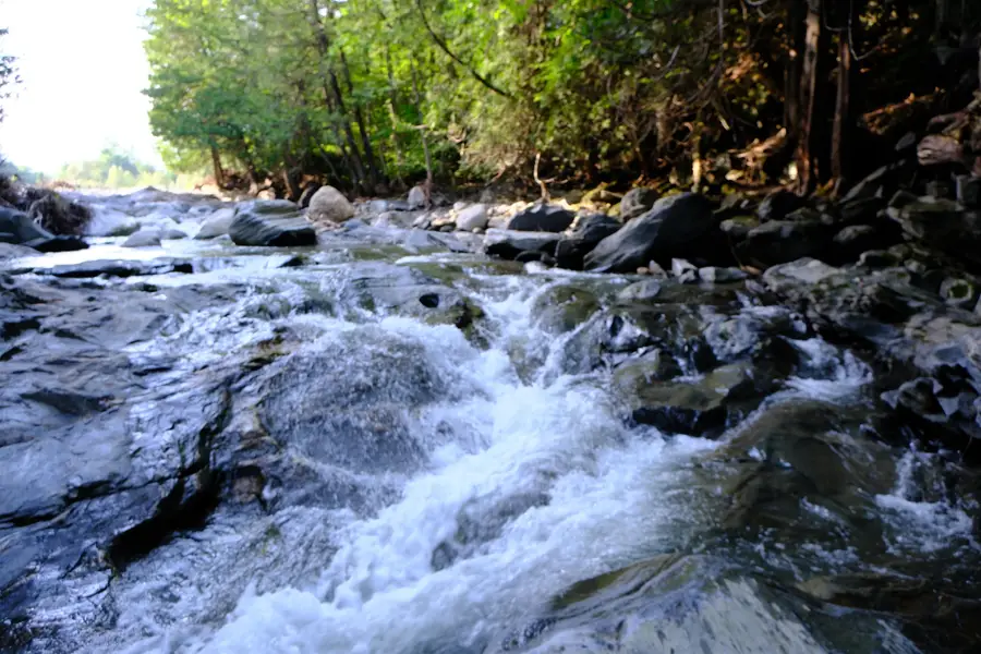 0 Calendar Brook Road, Burke, VT 05871 - Image #3
