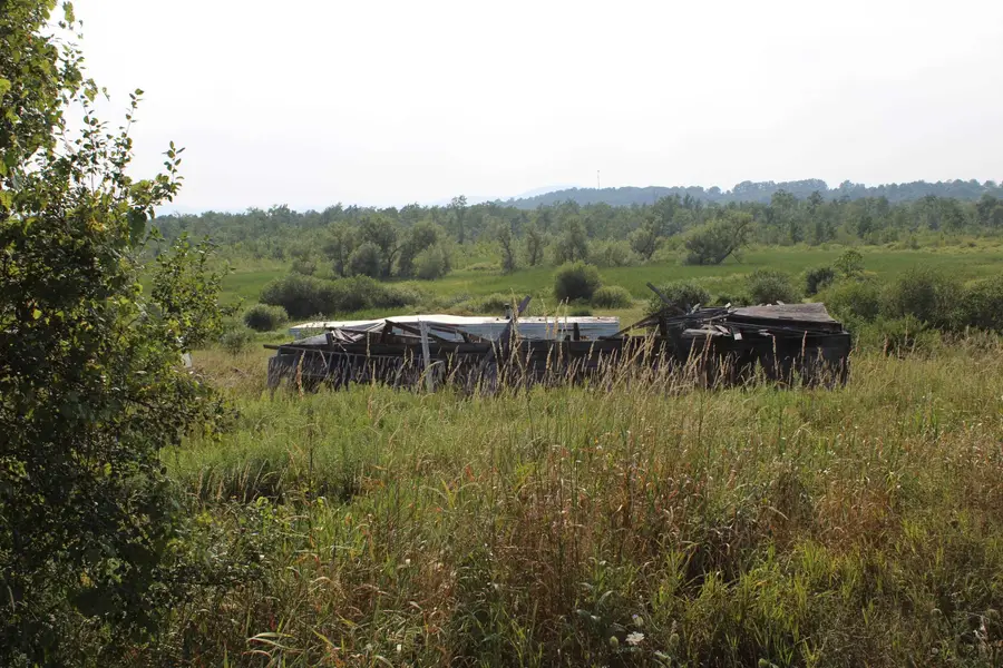 1712 Route 22A, Shoreham, VT 05770 - Image #2