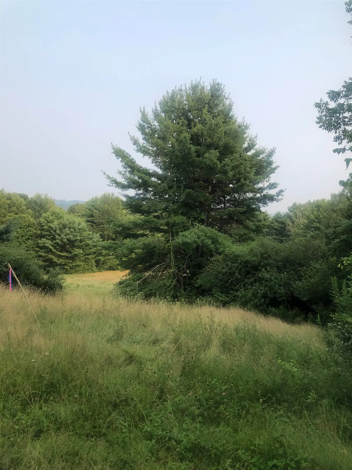 Lot 4 Belvedere Road, Gilsum, NH 03448 - Image #1