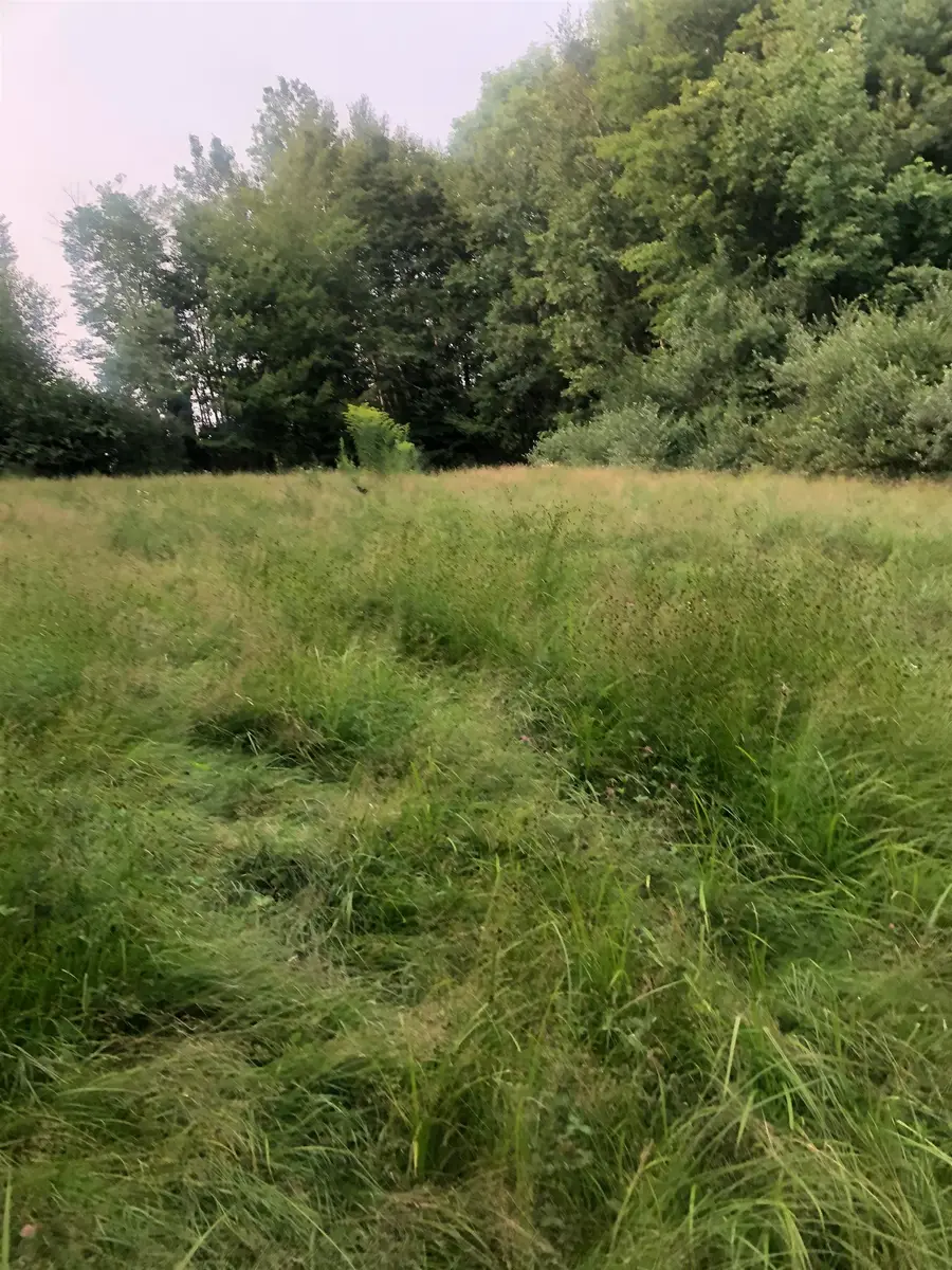 Lot 4 Belvedere Road, Gilsum, NH 03448 - Image #2