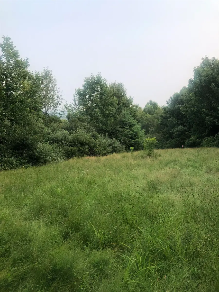 Lot 4 Belvedere Road, Gilsum, NH 03448 - Image #3