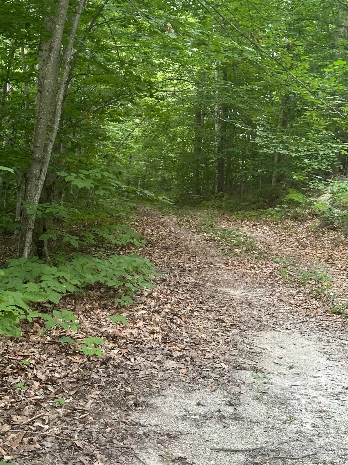 51 Crane View Drive, Salisbury, VT 05769 - Image #1