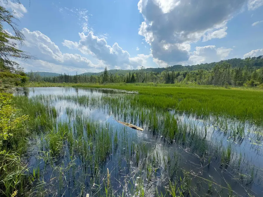 00 Scotch Hollow Road, Newbury, VT 05051 - Image #2