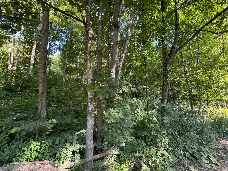 90 Old Swanzey Road, Winchester, NH 03470 - Image #3