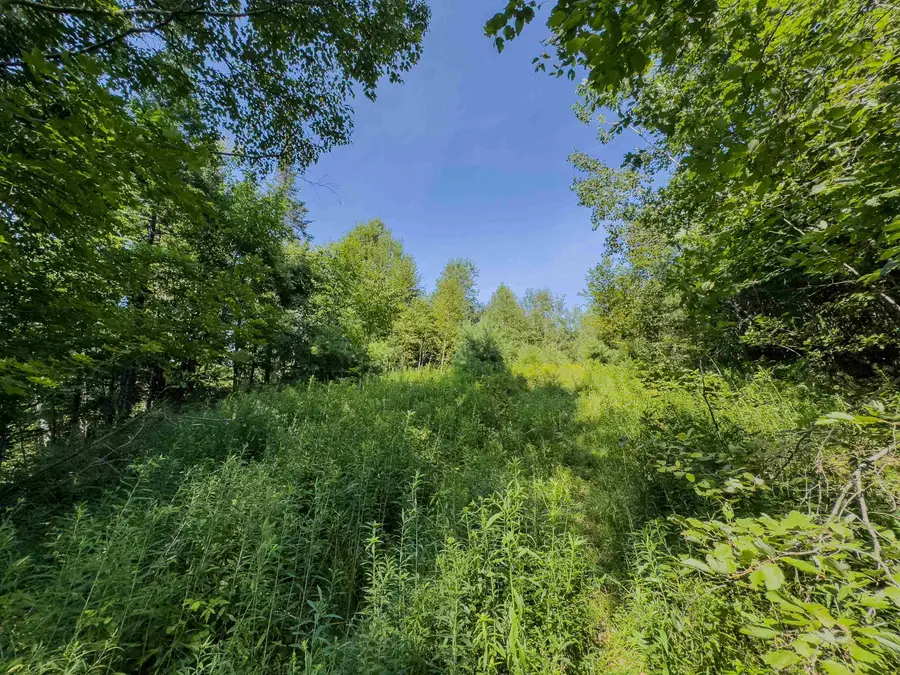 00 Brushwood Road #104, Haverhill, NH 03765 - Image #2