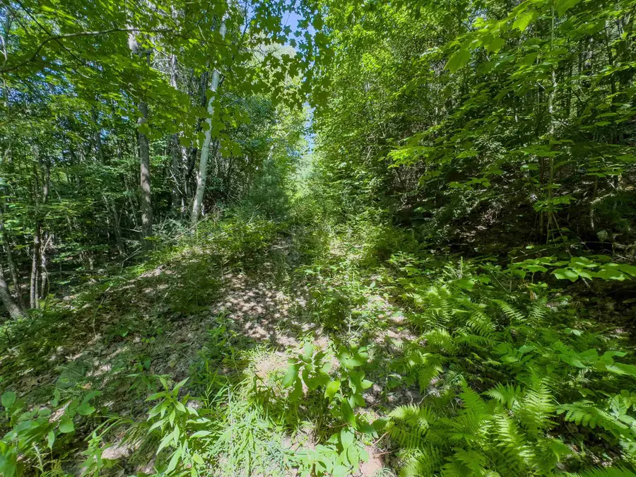 00 Brushwood Road #104, Haverhill, NH 03765 - Image #3