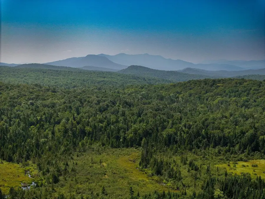 3298 East Hill Road, Eden, VT 05653 - Image #2