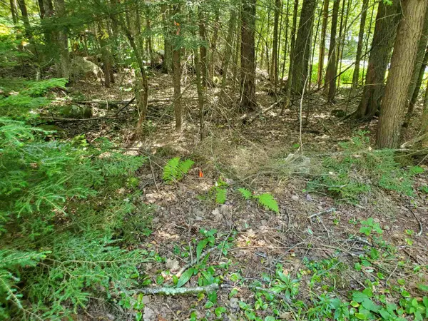 339 Lakeshore Drive, New London, NH 03257