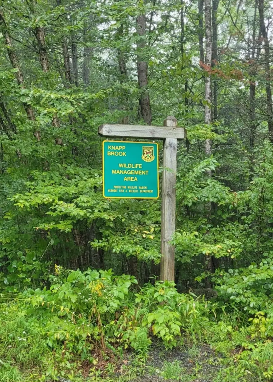 00 Chaos Turnpike, Cavendish, VT 05142 - Image #3