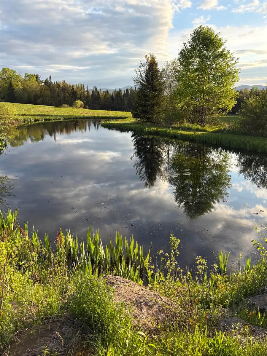 475 Webster Road, Hyde Park, VT 05655 - Image #3