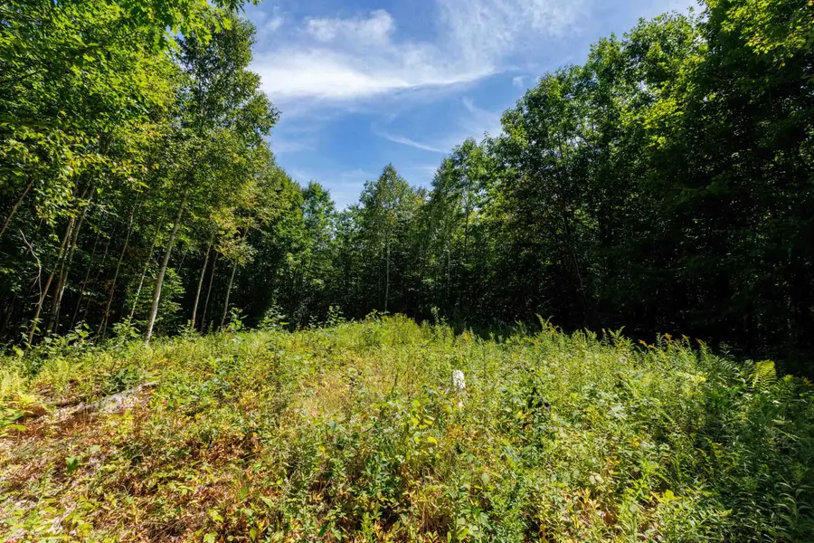 14 Summit Drive, Franconia, NH 03580 - #3