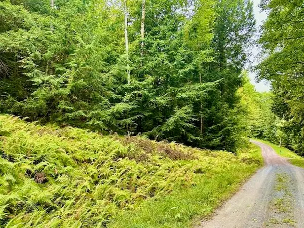 Longfellow Road #4, Haverhill, NH 03785