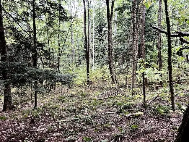 Bradley Hill Road #1, Haverhill, NH 03785 - Image #1