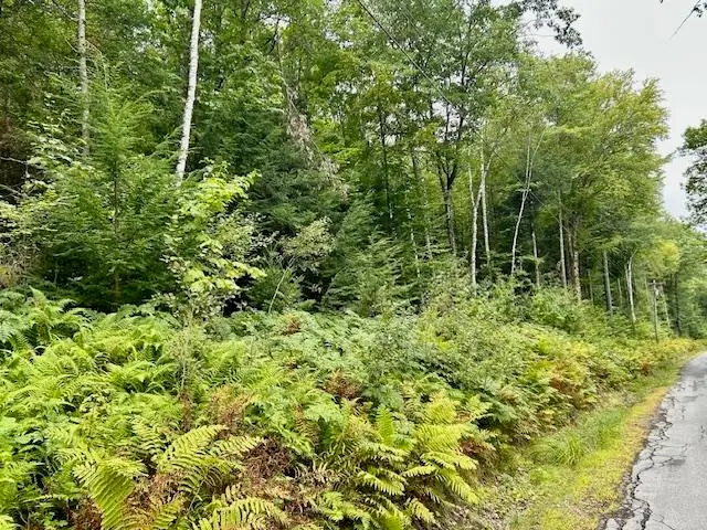 Bradley Hill Road #1, Haverhill, NH 03785 - Image #3