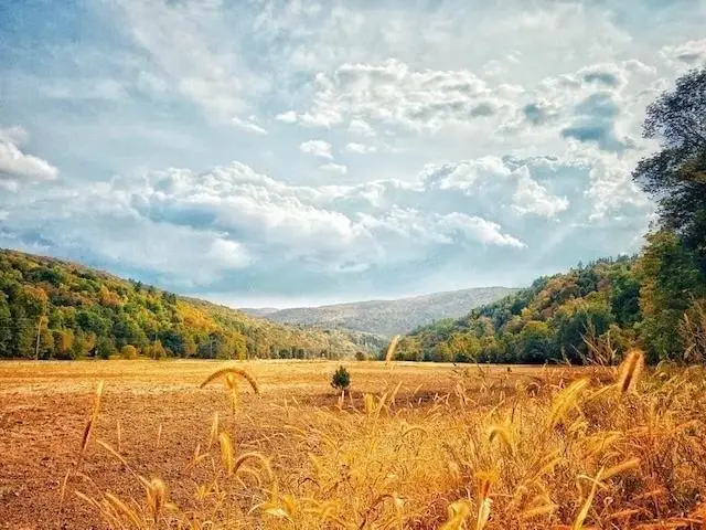 1433 N 116 Road #B, Bristol, VT 05443 - Image #3